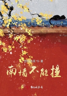 南墻不能撞