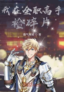 我在全職高手撿碎片