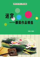 迷宫：滕固作品精选（感悟文学大师经典）在线阅读