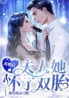 離婚后，夫人她懷了雙胎在線閱讀