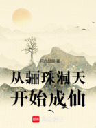 从骊珠洞天开始成仙