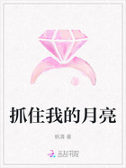 抓住我的月亮在线阅读