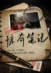 惊奇笔记1：中国怪事