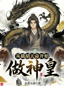 从截胡天命开始做神皇（赵靖、宝儿）在线阅读