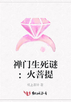 禪門生死謎：火菩提在線閱讀