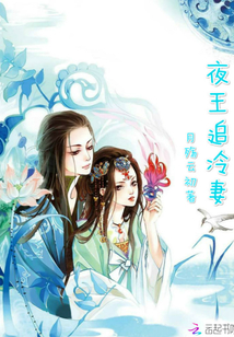 夜王追冷妻
