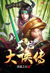 天龙大侠传 cover