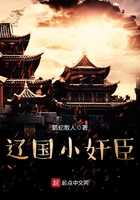 遼國小奸臣在線閱讀