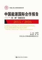 中国能源国际合作报告2015/2016