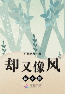 卻又像風留不住