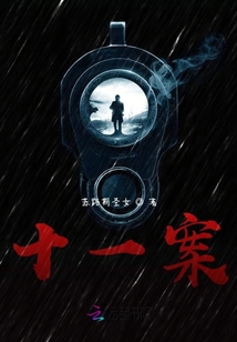 十一案