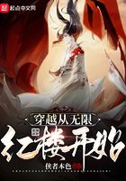 穿越從無限紅樓開始在線閱讀