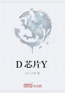 D芯片Y