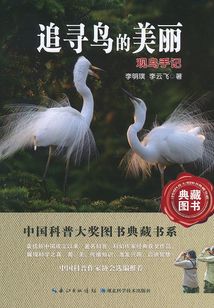 追尋鳥(niǎo)的美麗