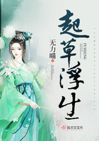 起草浮生在線閱讀