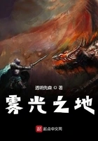 雾光之地在线阅读