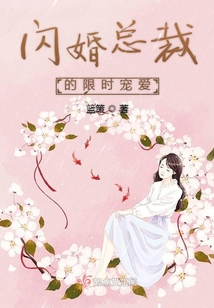 閃婚總裁的限時寵愛