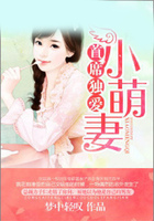 首席独爱小萌妻