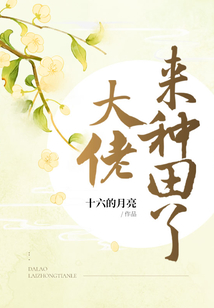 大佬来种田了