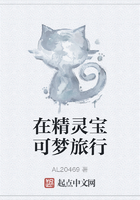 在精灵宝可梦旅行在线阅读