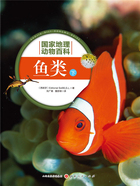 鱼类:下(国家地理动物百科)在线阅读