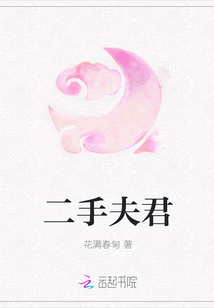 二手夫君