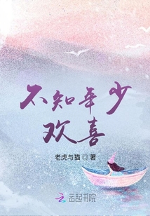 不知年少欢喜