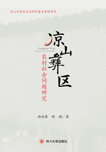 涼山彝區(qū)農(nóng)村社會問題研究