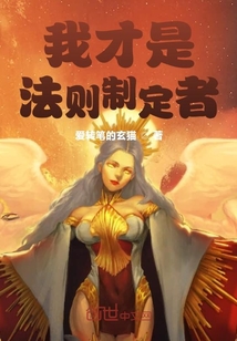 我才是法則制定者