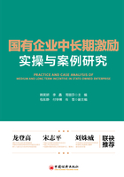 國有企業中長期激勵實操與案例研究在線閱讀
