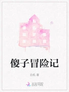 傻子冒险记在线阅读