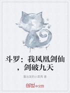 斗罗:我凤凰剑仙,剑破九天在线阅读