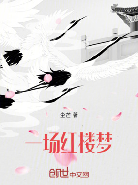 一场红楼梦在线阅读