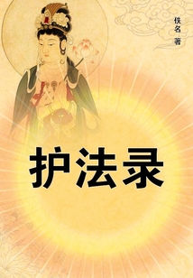 护法录