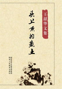 頭上頂的黃土（王韶華文集）