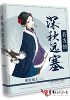深秋远塞若为情
