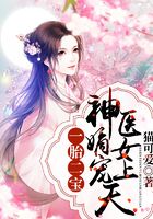 一胎二宝：神医嫡女宠上天