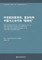 中东欧的差异性、复杂性和中国与之合作的“精准性”在线阅读