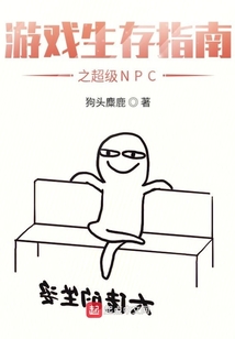游戲生存指南之超級(jí)NPC