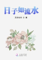 日子如流水在线阅读