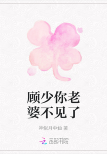 顧少你老婆不見了