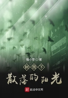 树荫下散落的阳光
