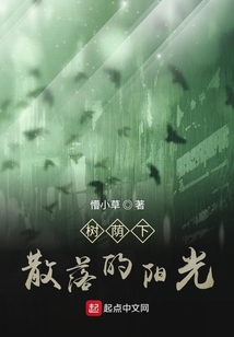 樹蔭下散落的陽光