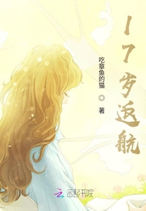 17歲返航