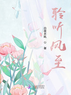 聆聽風至在線閱讀