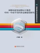 双循环新发展格局下推进中国—中南半岛经济走廊建设研究在线阅读