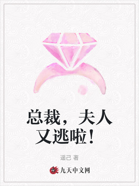 总裁,夫人又逃啦!在线阅读