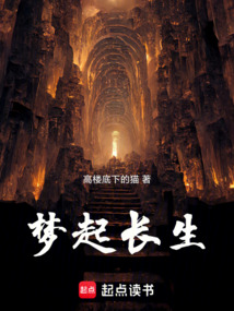 梦起长生