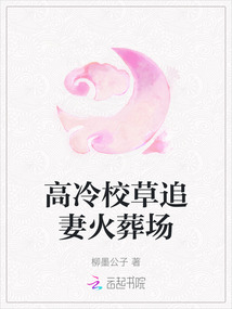 高冷校草追妻火葬场