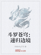 斗罗苍穹：递归边境在线阅读